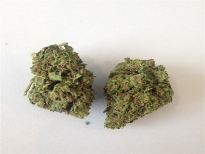 Buy Train Wreck Marijuana Strain Online